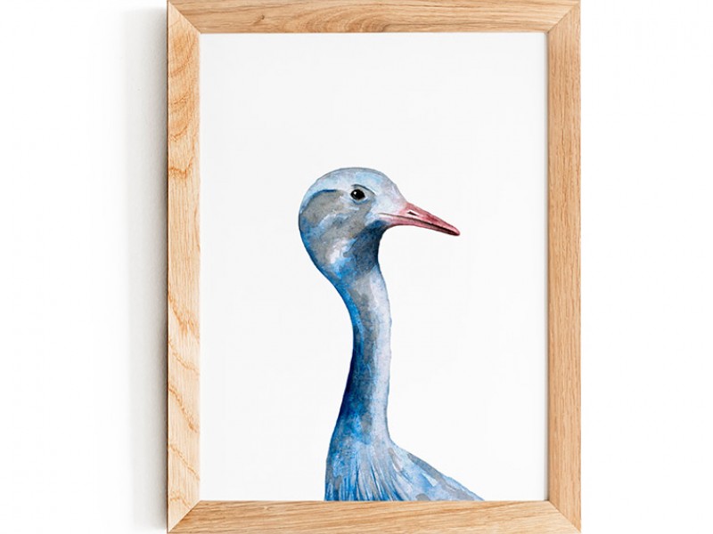 Water Colour Blue Crane Print 