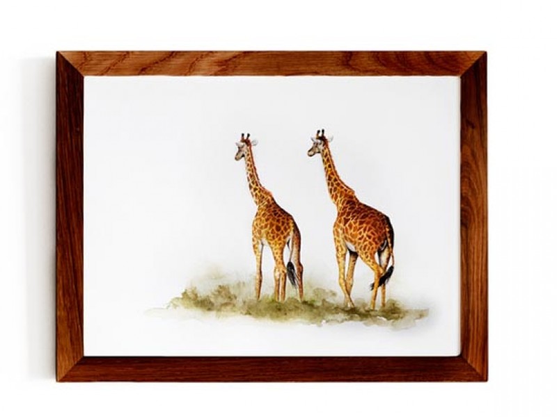 Animal Wildlife Print - A Walk To Remember - Giraffes