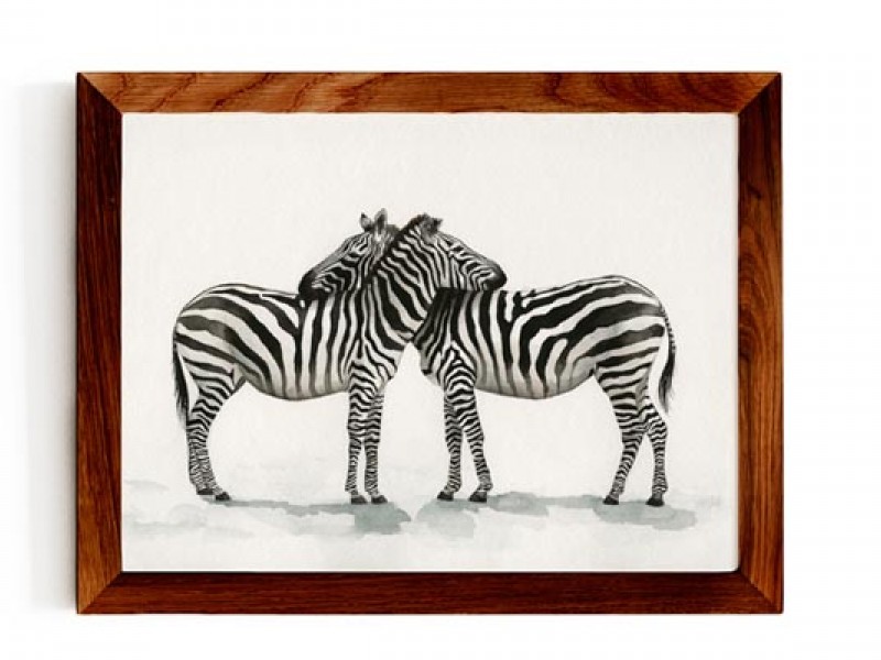 Animal Wildlife Print - Zebra Love