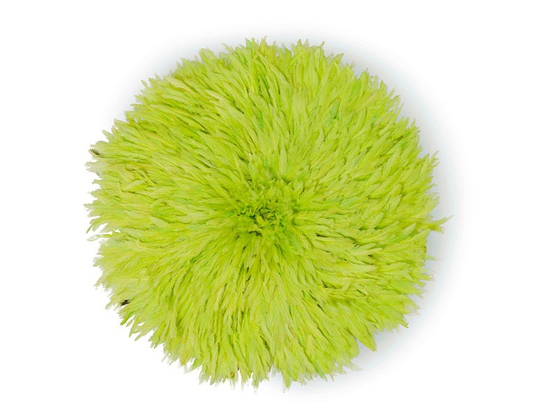 Juju Feather Hat Lime Green