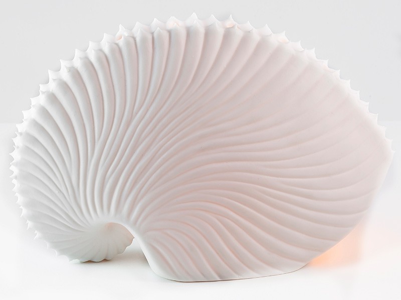 Paper Nautilus