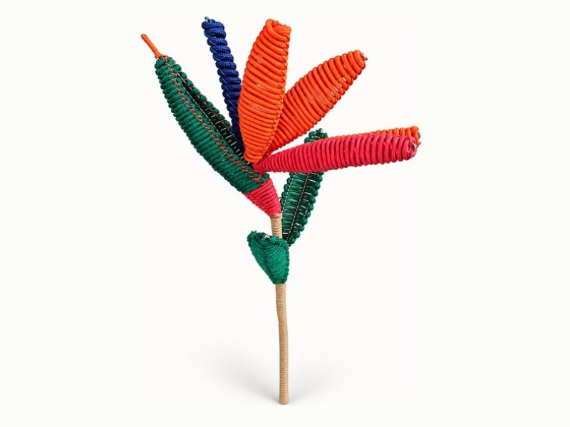 Africa in Colour Strelitzia Rope Flower Stem