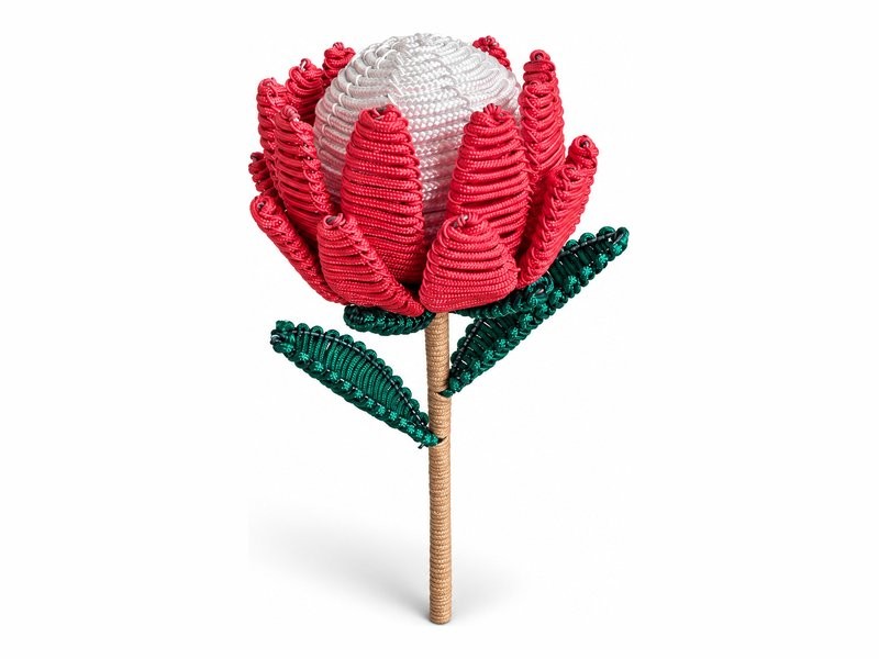 Africa in Colour King Protea Rope Flower Stem