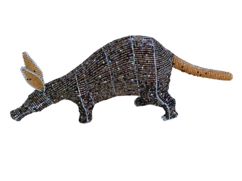 Aardvark Side