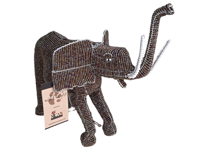 Elephant front