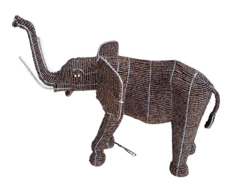Elephant side