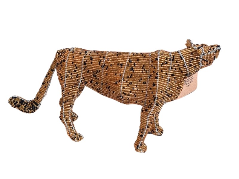 Cheetah side