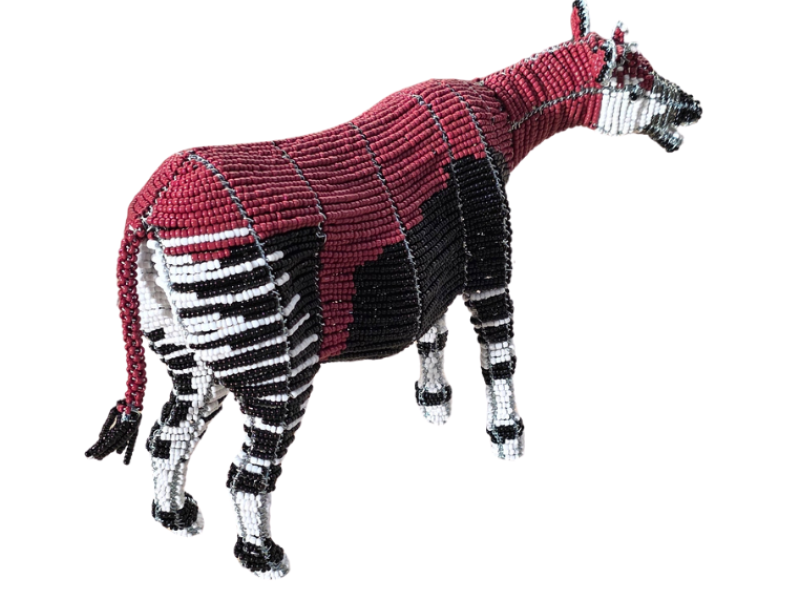 Okapi Back