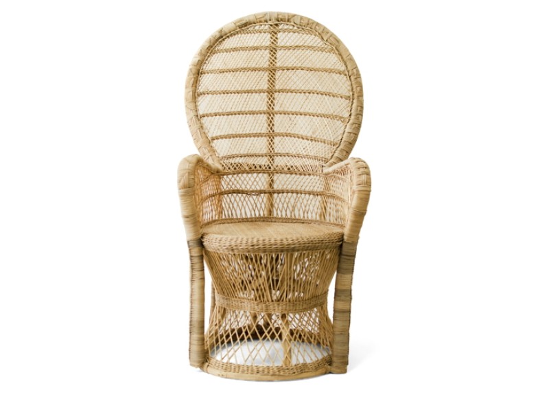 Peacock Chair