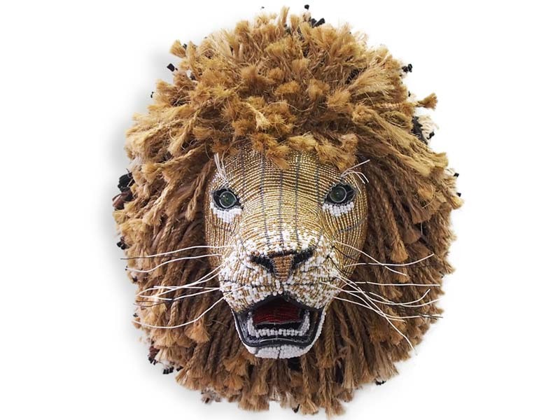 Lion Front View