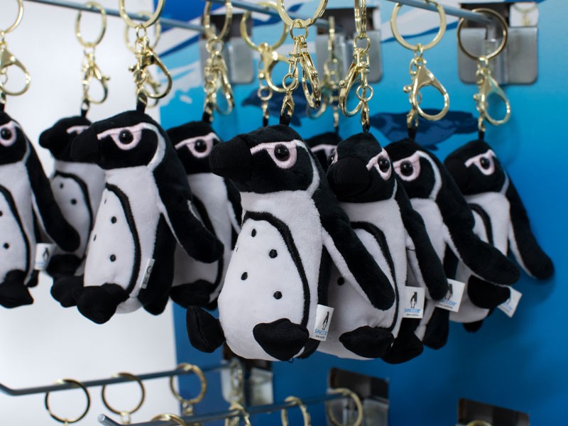 Hanging African Penguin Hanging African Penguin
