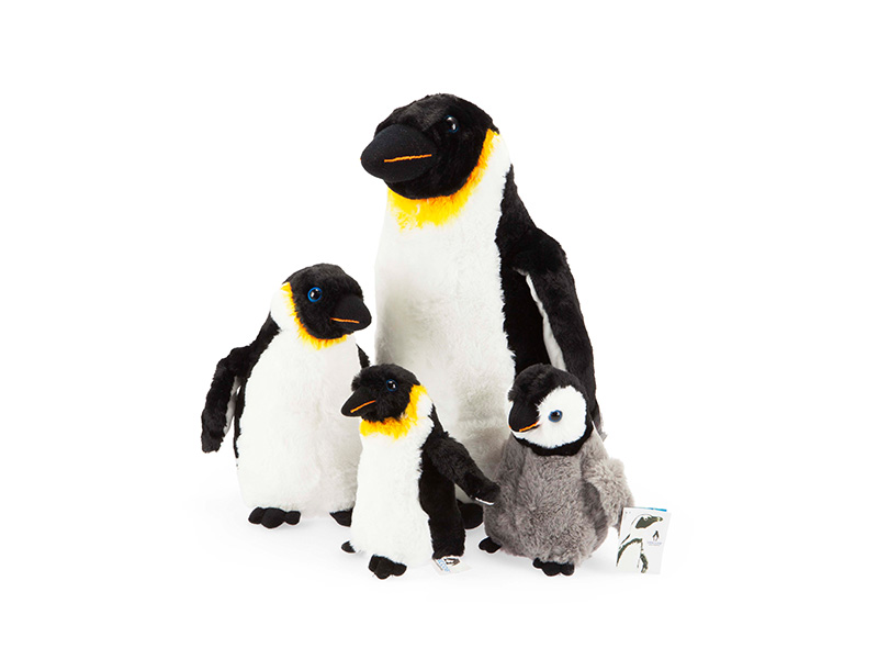 Emperor Penguin